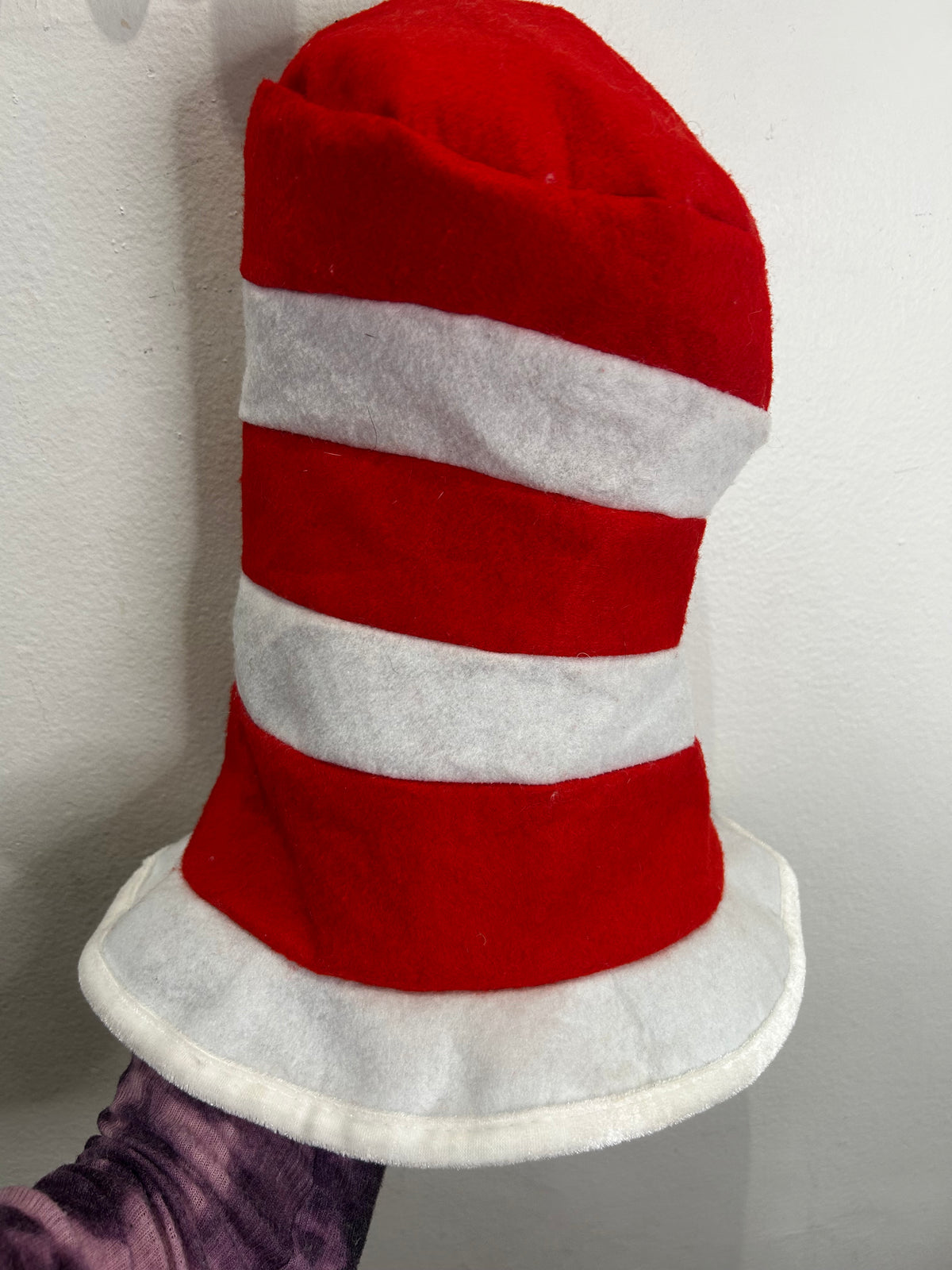 Cat in the hat hat