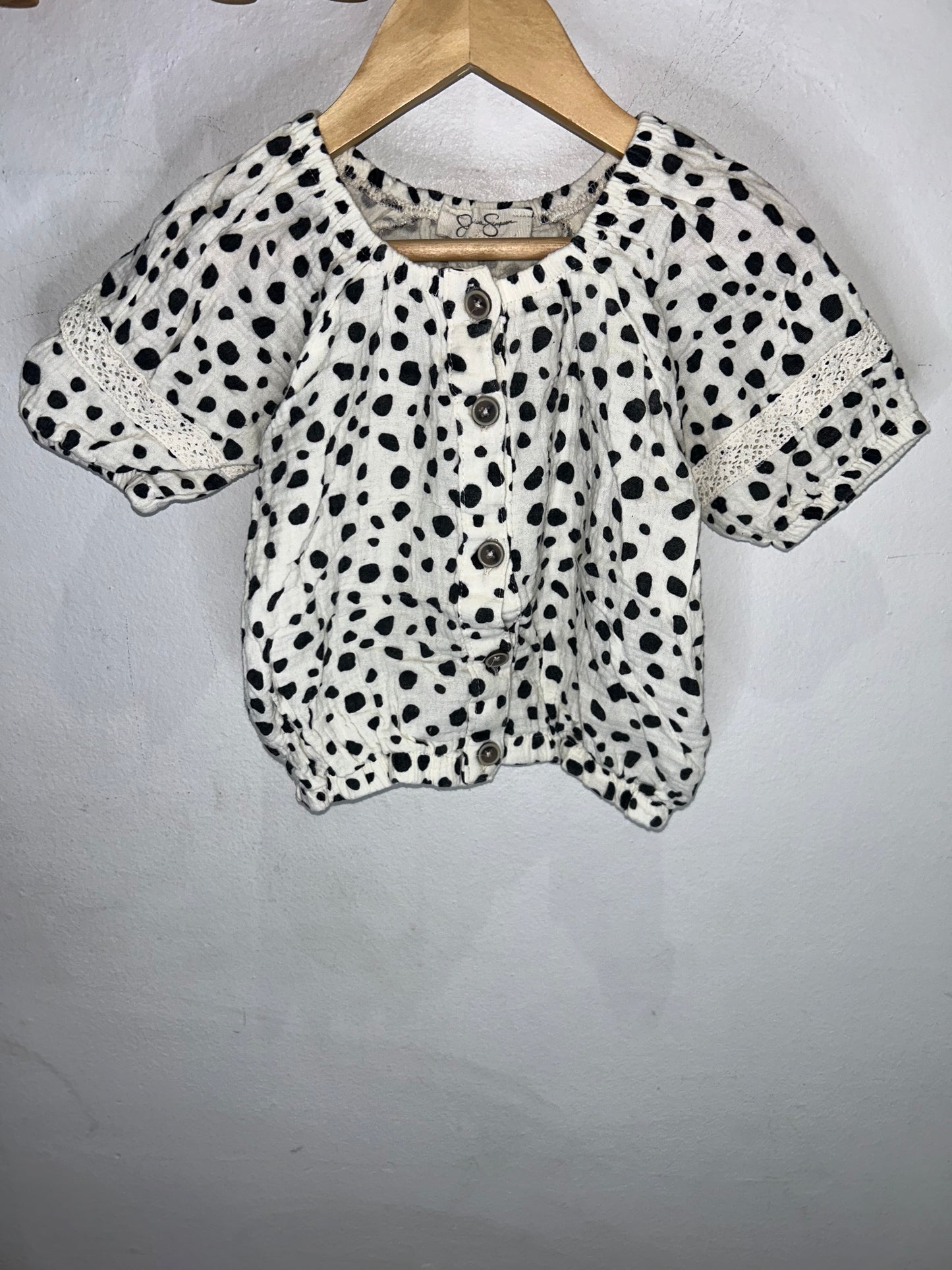 Dalmatian Summer Set 2y