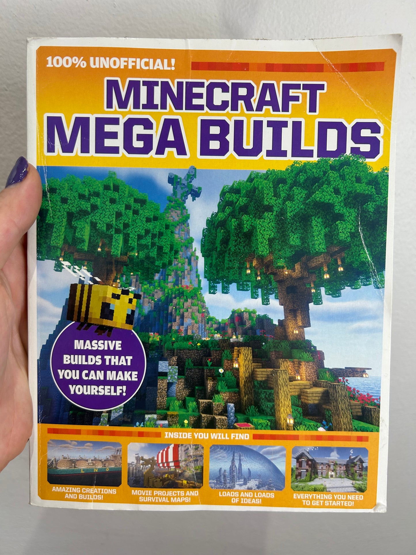 Minecraft Mega Builds