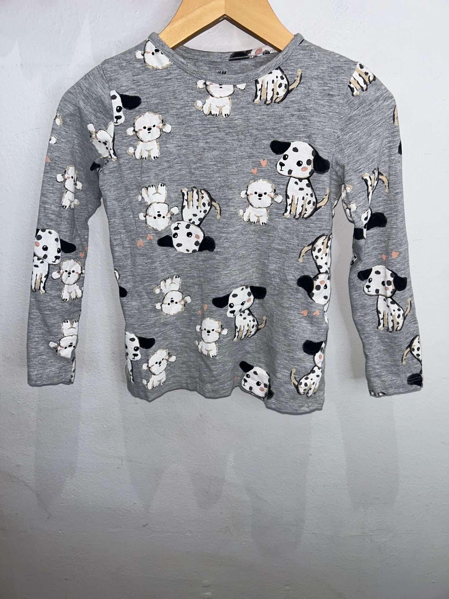 Puppies grey longsleeve 4-6y