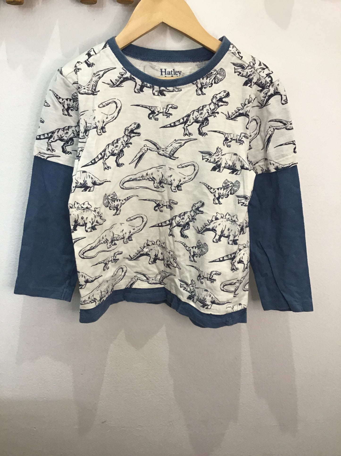 Hatlye dinos tee w sleeves 5y