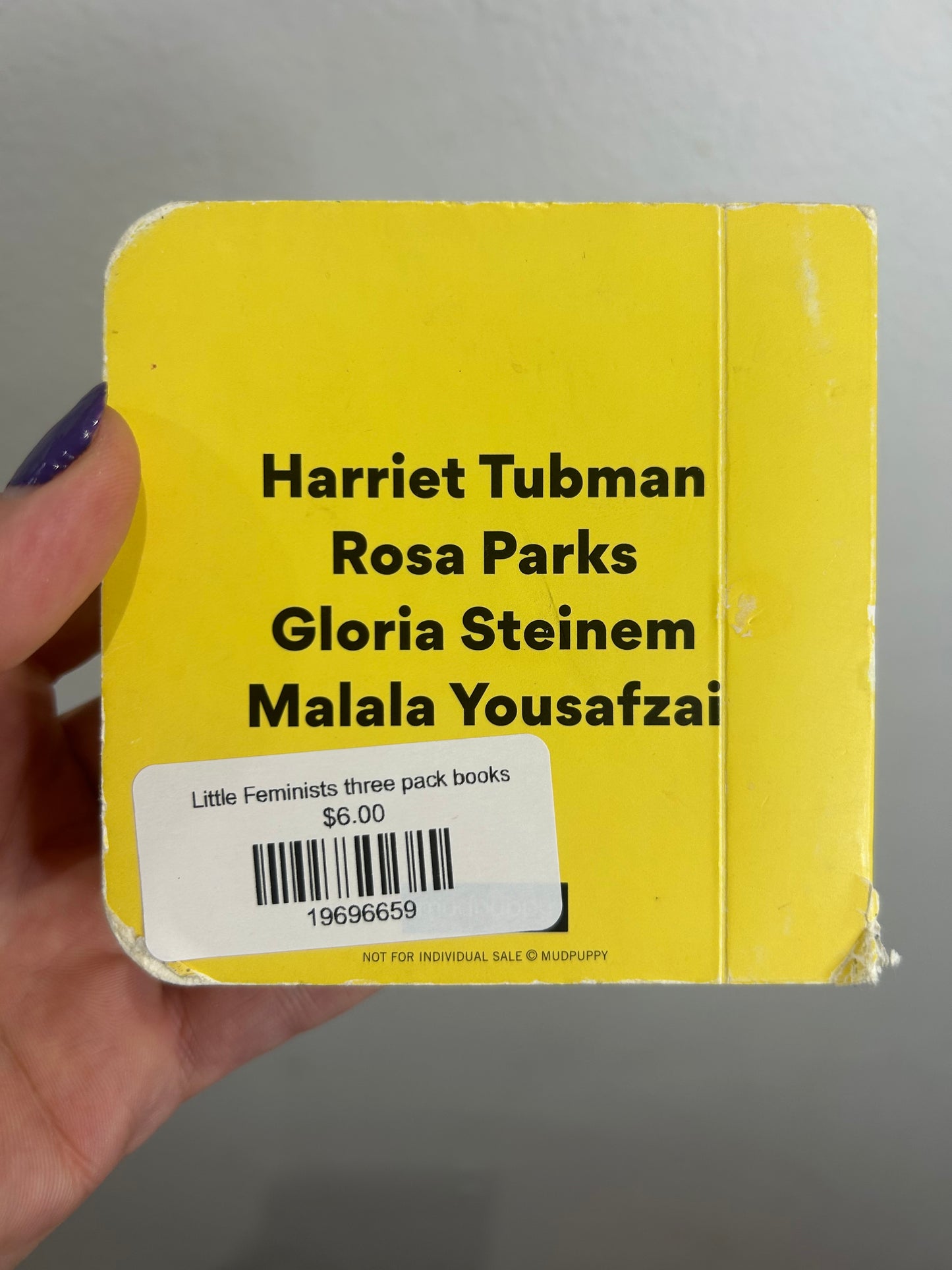 Little Feminists three pack books