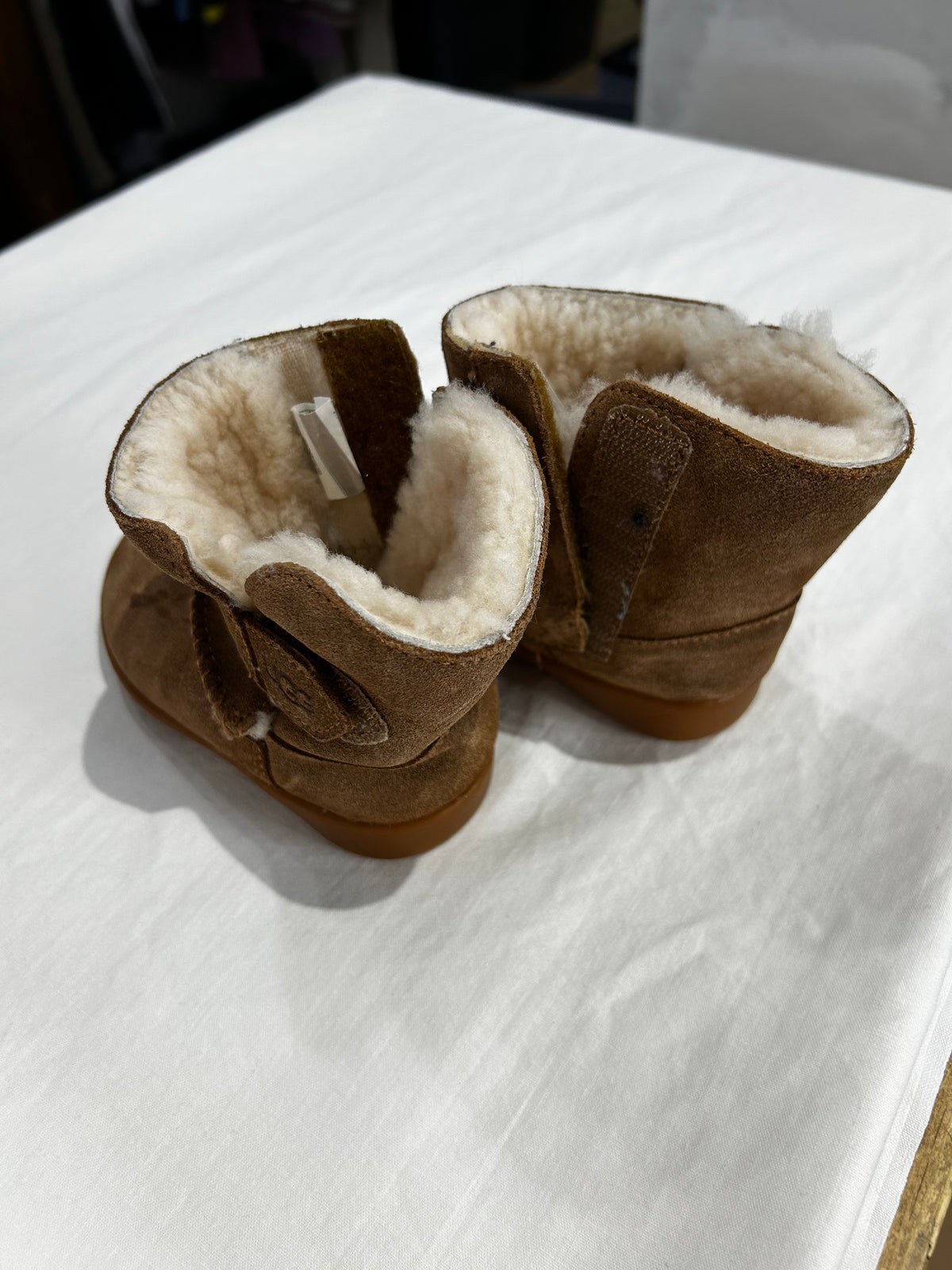 C6 Uggs