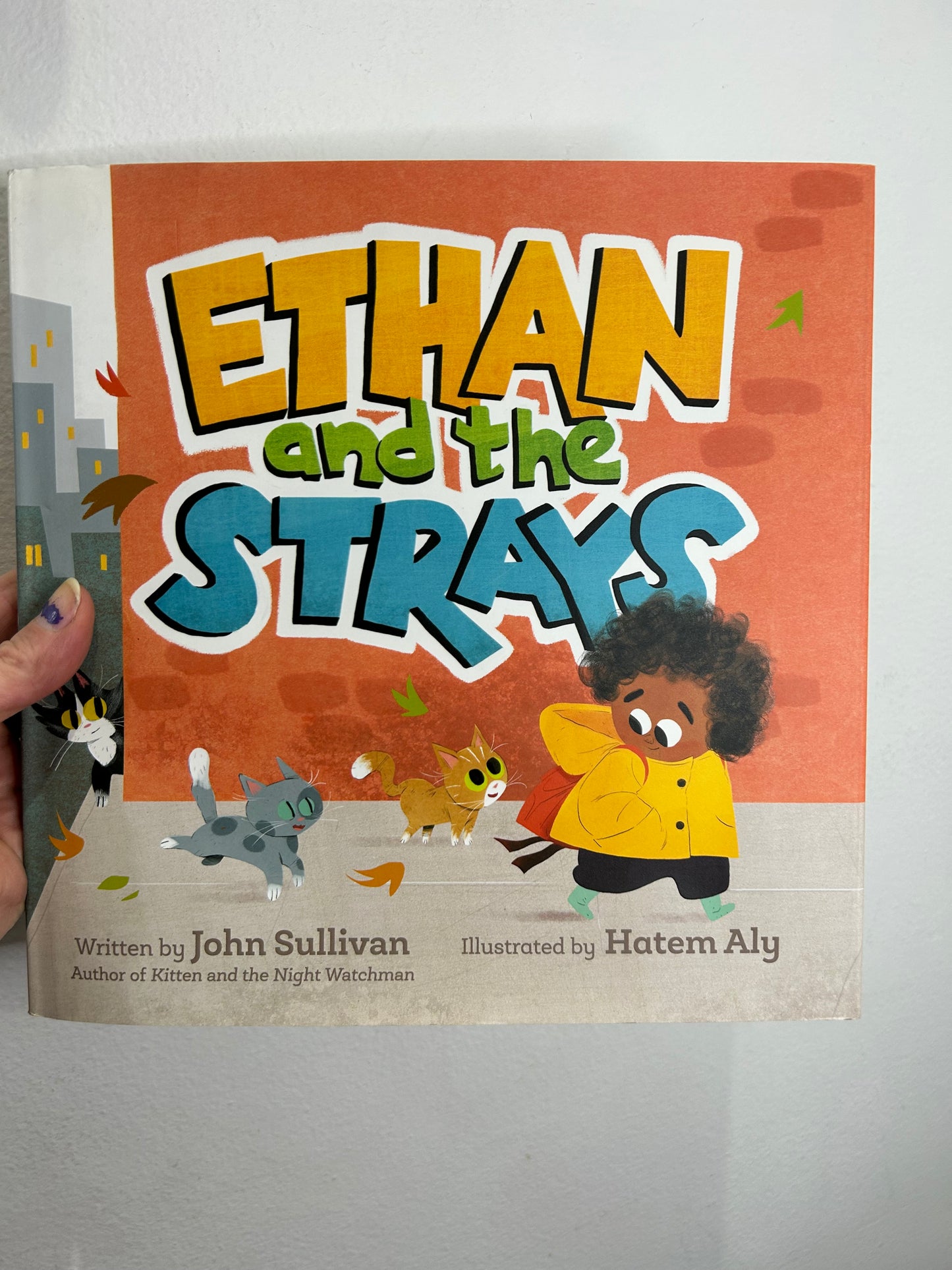 Ethan and the Strays