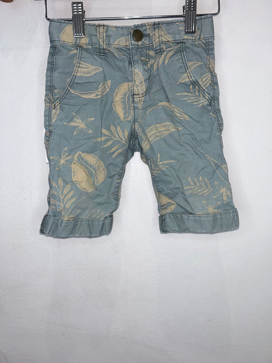 Sage leaves long shorts 3y