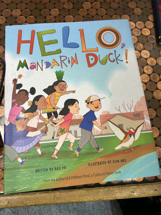 Hello Mandarin Duck