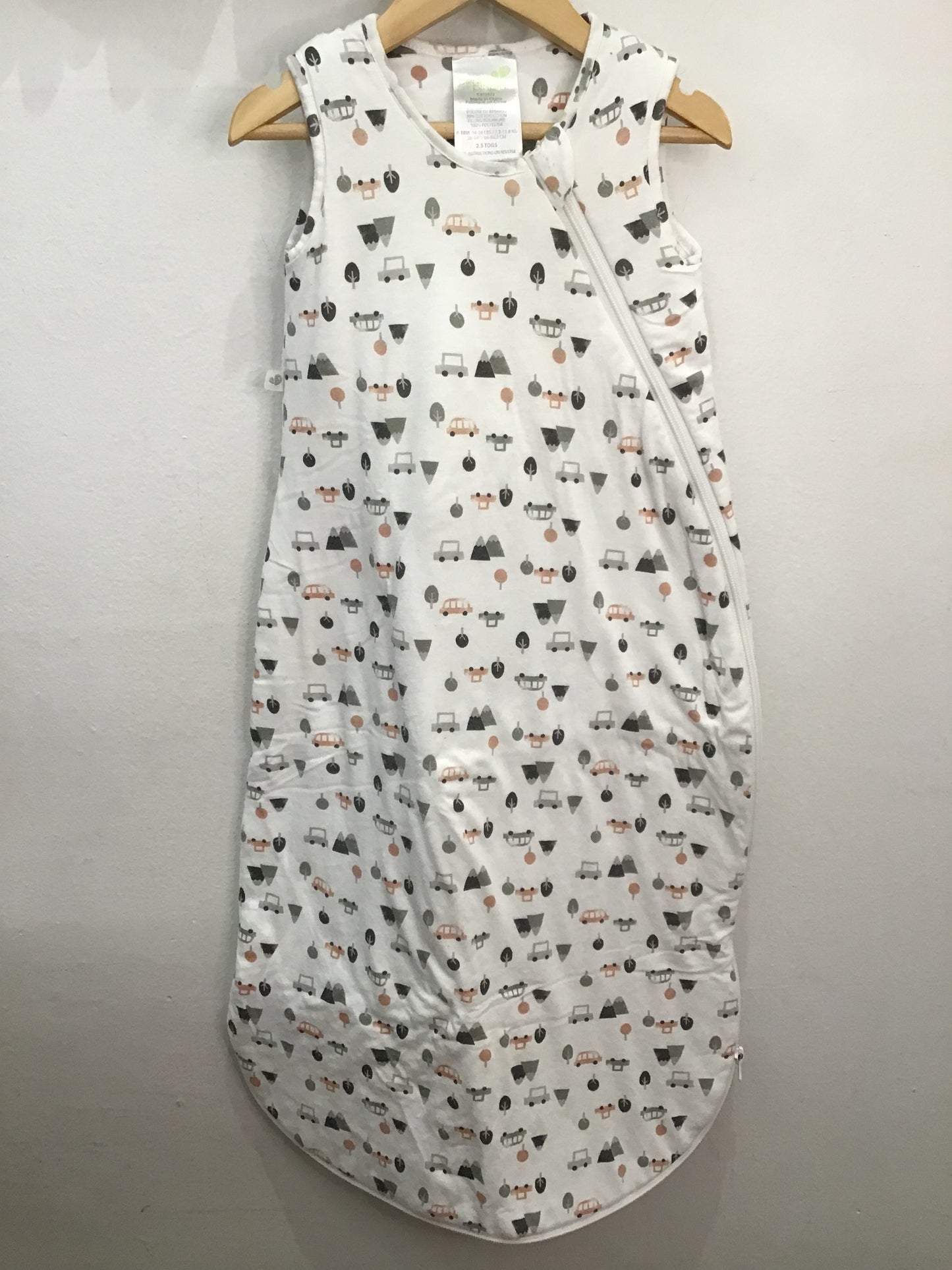 Sleepsack cars 6-18m 2.5TOG