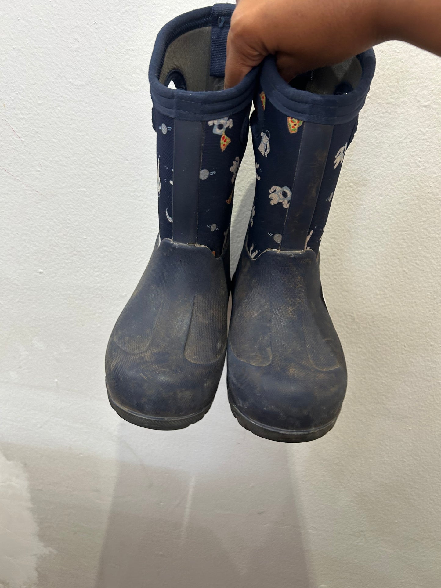 C11 Astronaut Bogs
