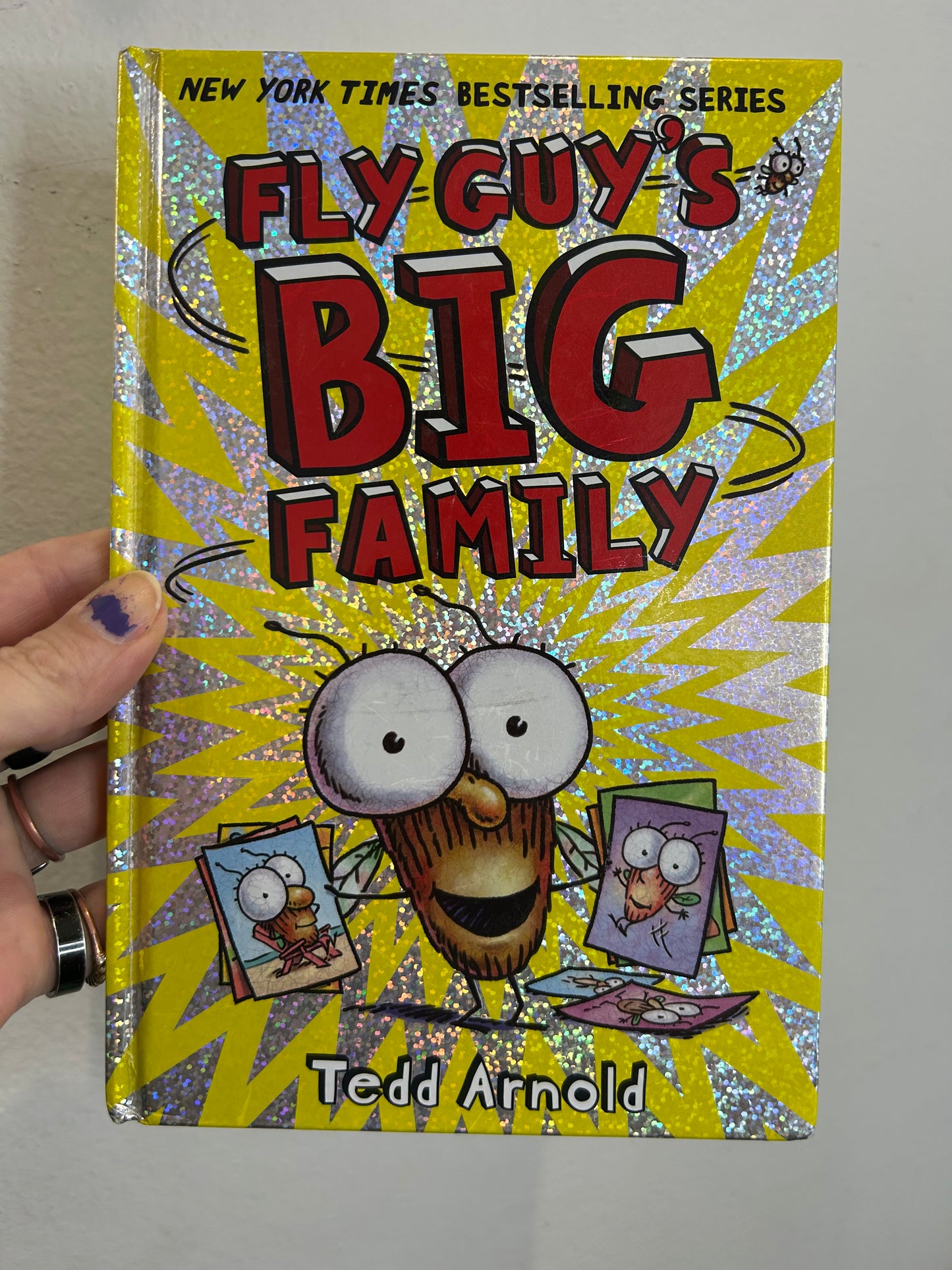 Fly Guy's Big Family