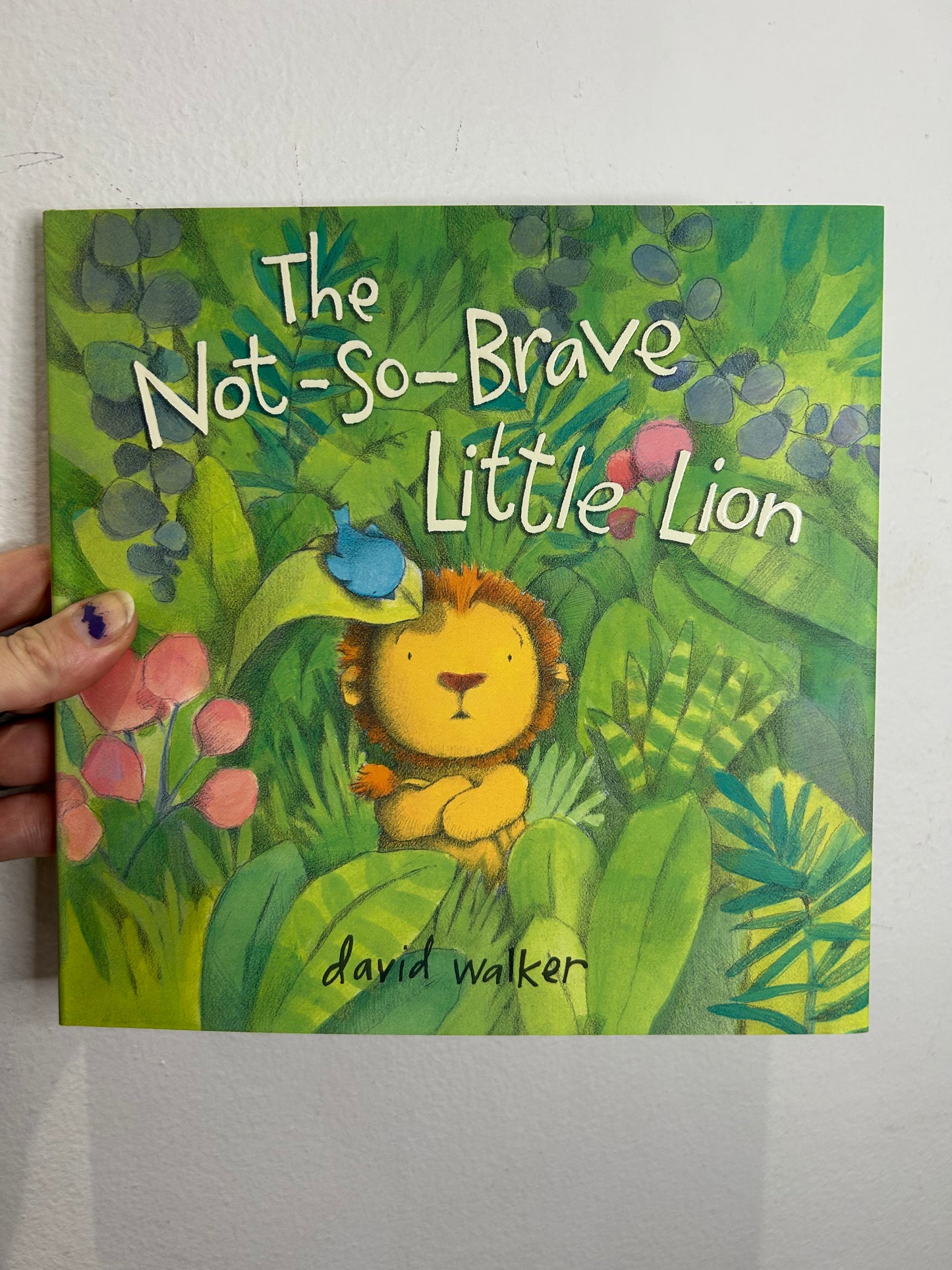 The not-so-brave little lion