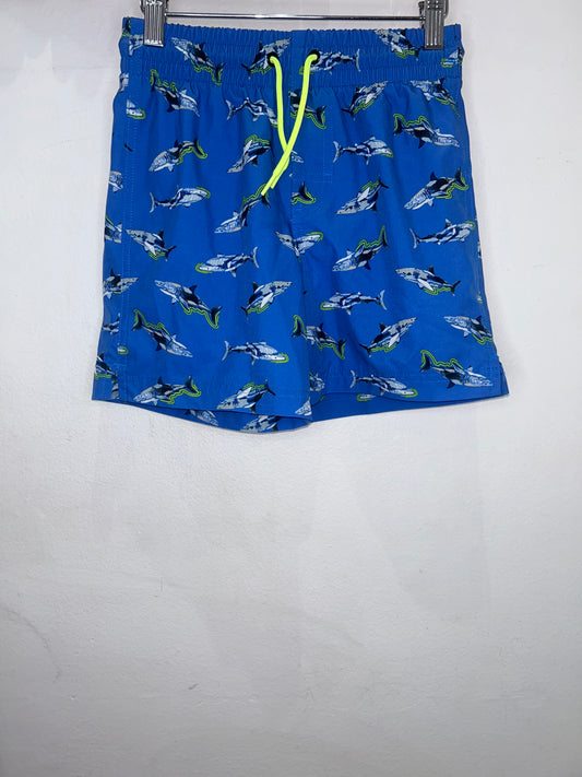 Shark swimshorts 8y
