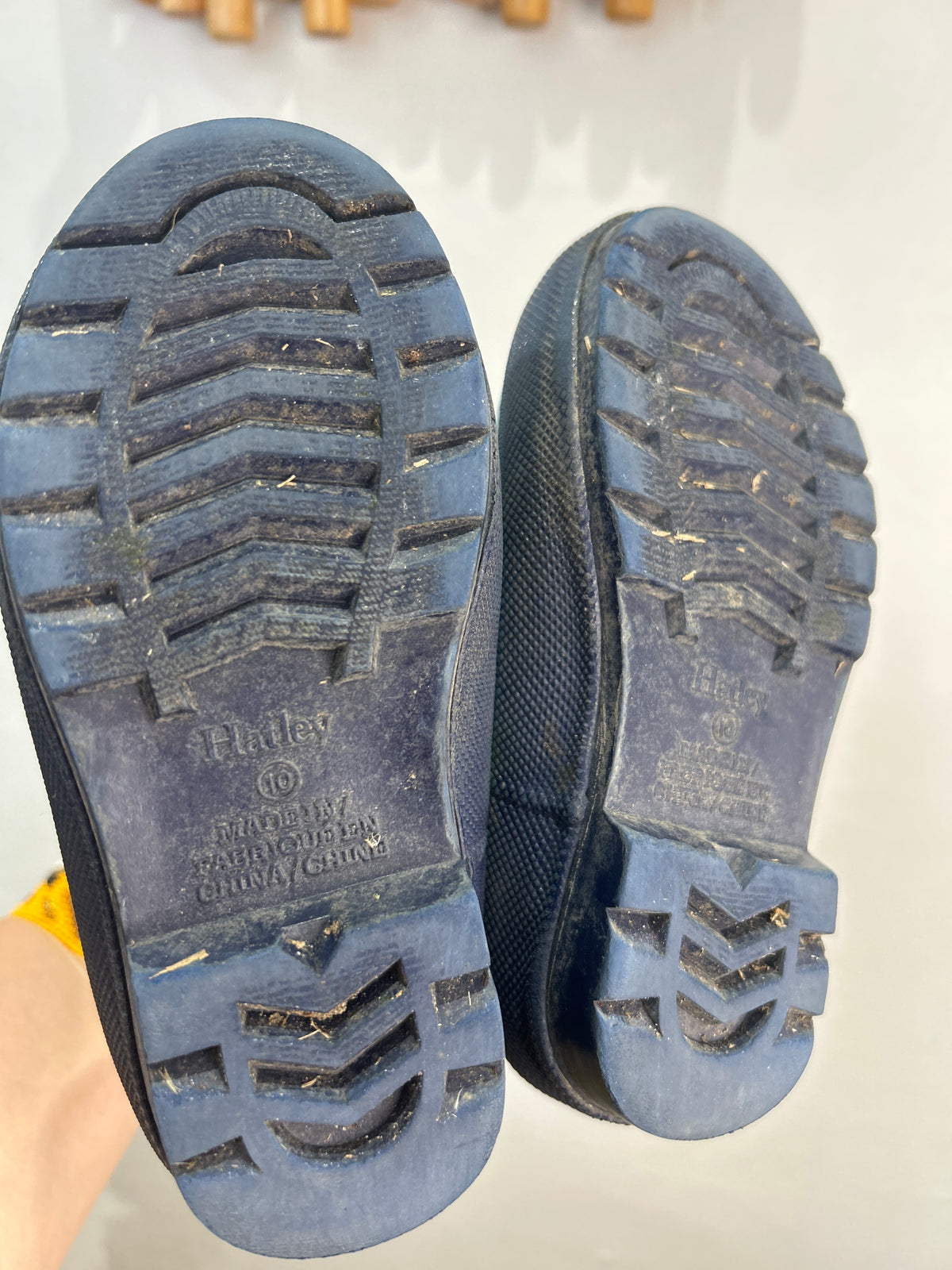 C10 Hatley blue dino rainboots