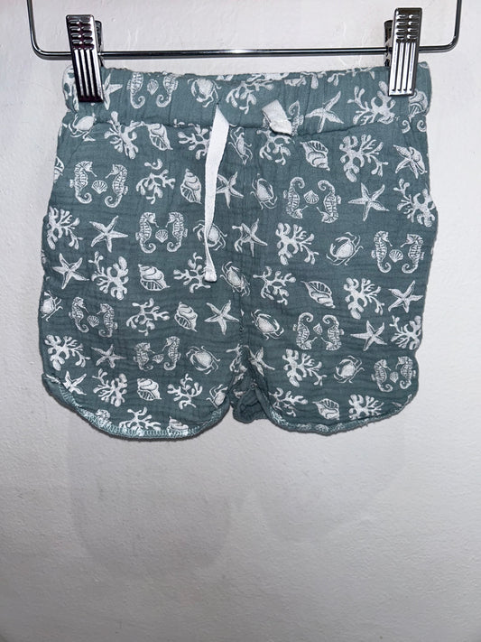 Seahorses shorts 18-24m