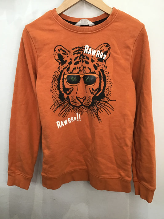 Roar tiger pullover 8-10y