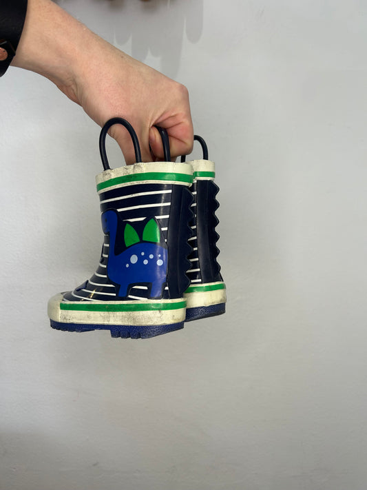 C6 dino rainboots