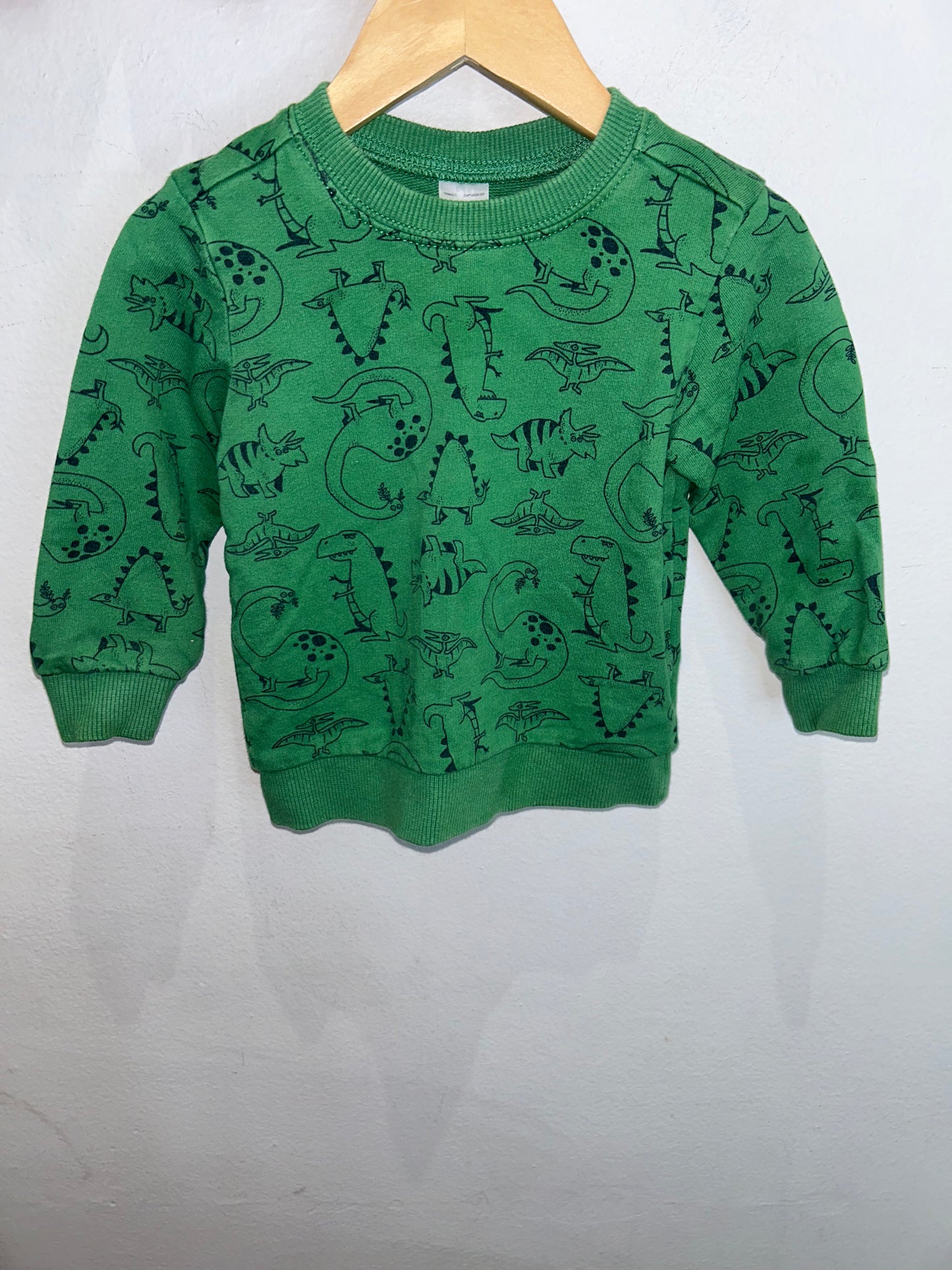 Green dinos pullover 18m