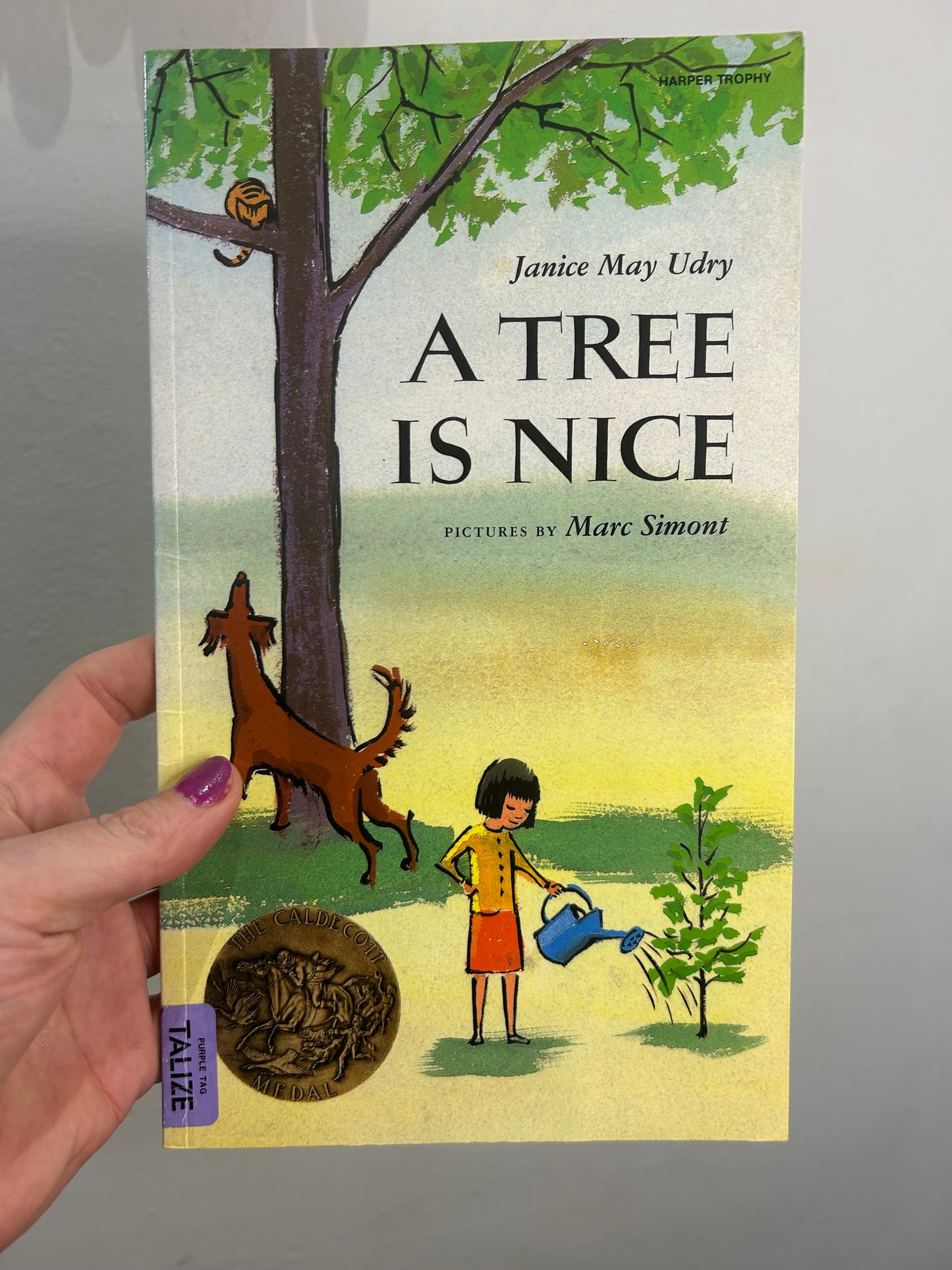 A tree is nice