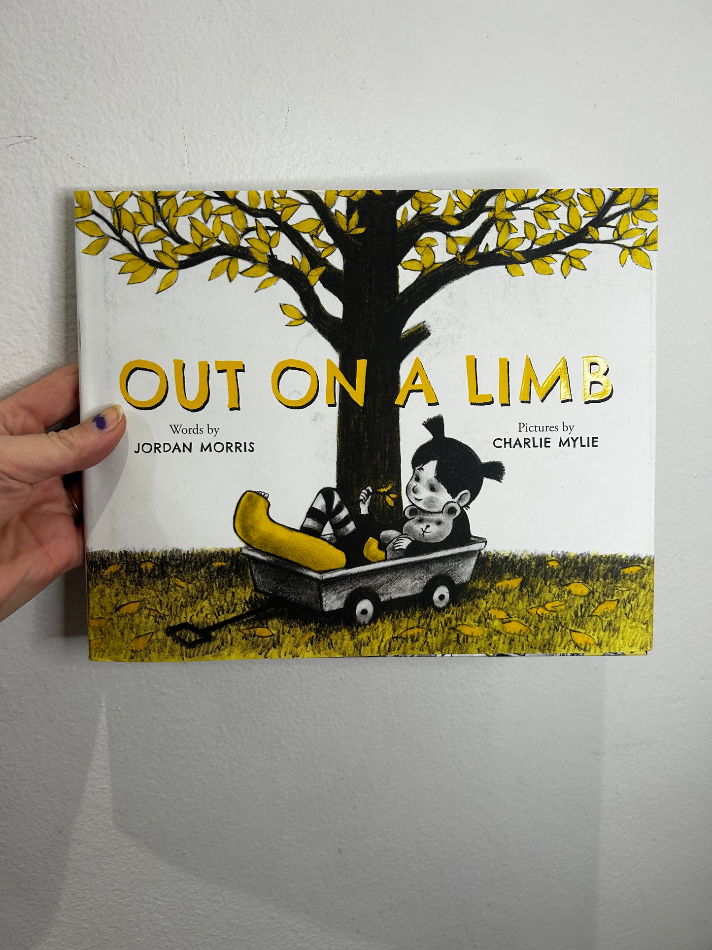 Out on a limb