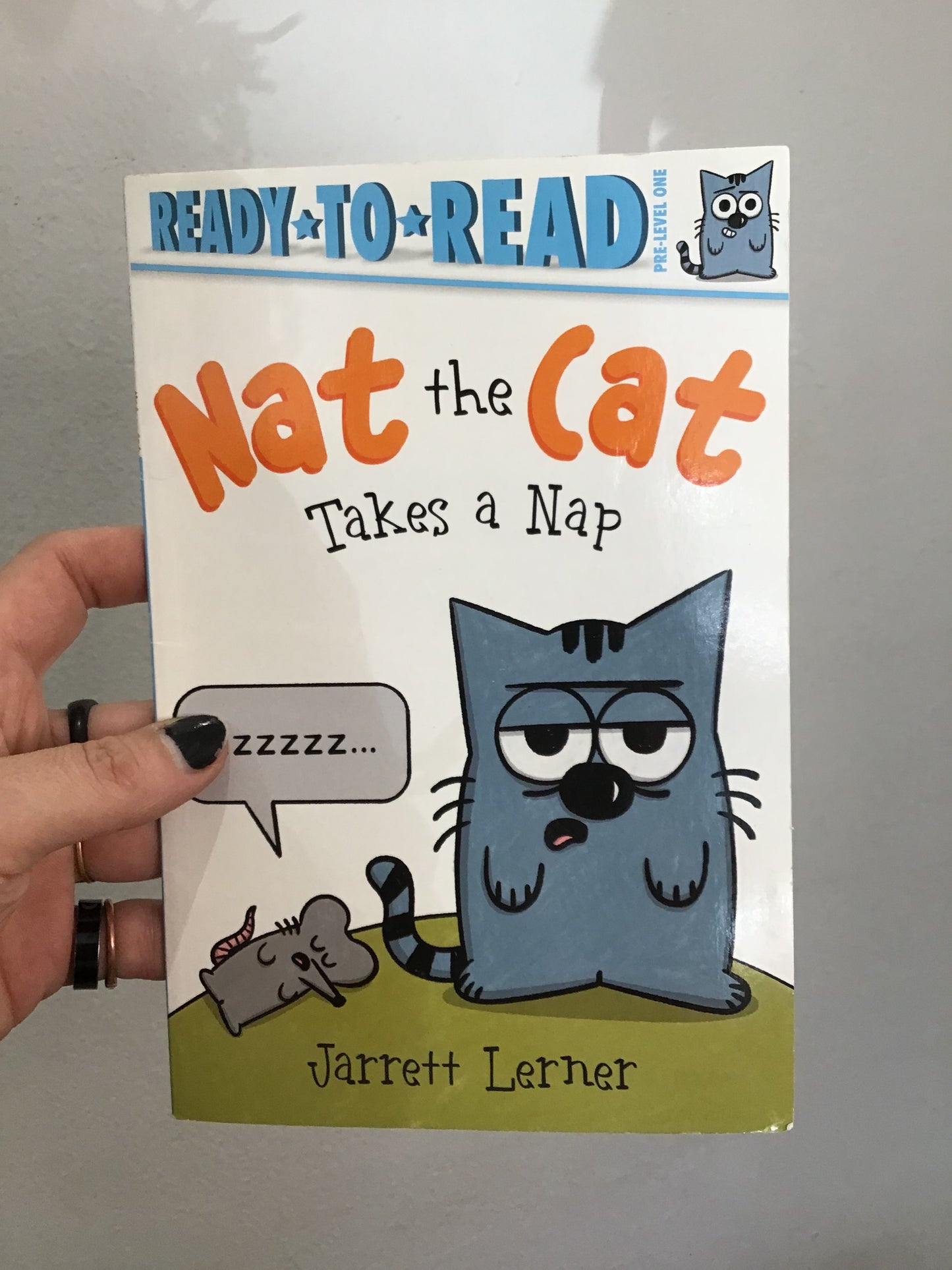 Nat the Cat takes a nap