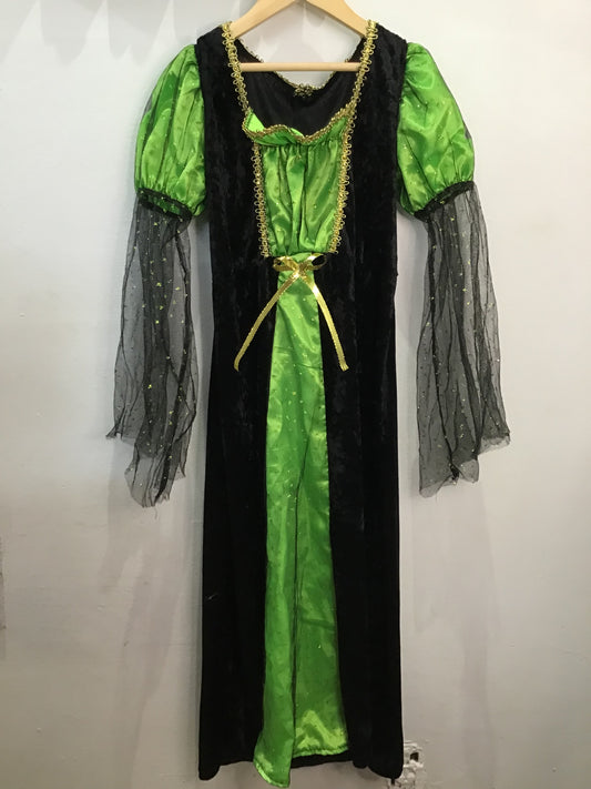 Black and green dress costume (e.g. Elphaba, generic witch) 8-12y
