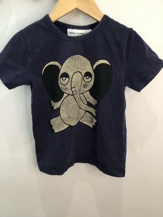 Tee Mini Rodini 2y