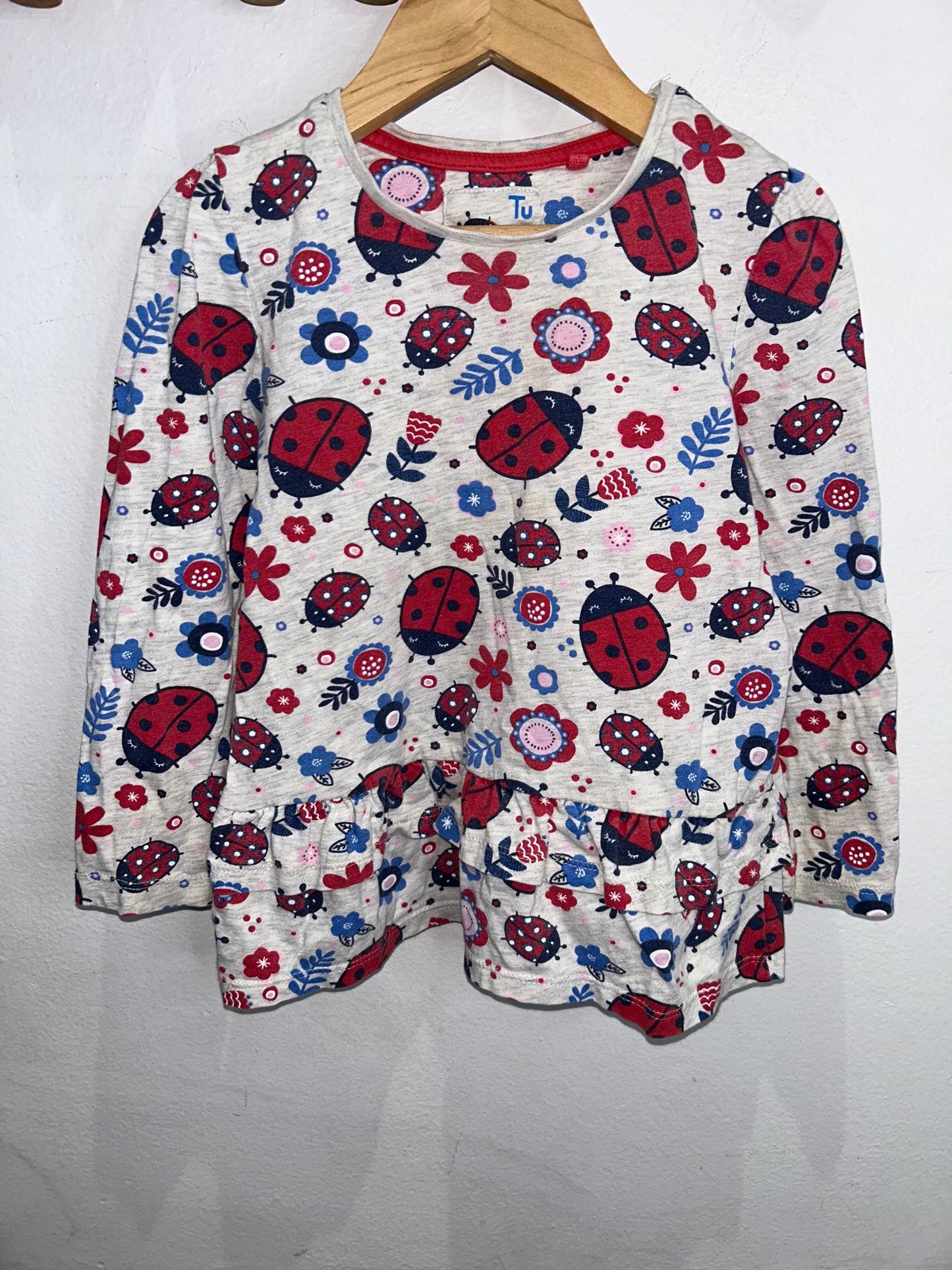 Ladybugs tunic tee 2-3y