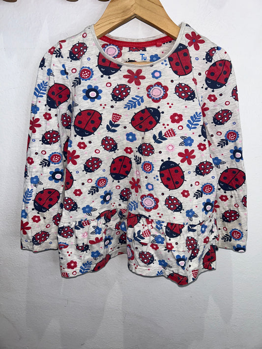 Ladybugs tunic tee 2-3y
