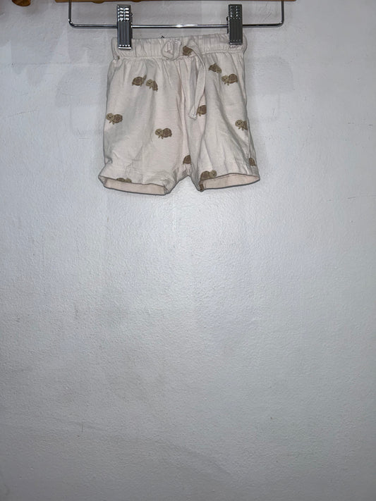 Turtle shorts 1-2m
