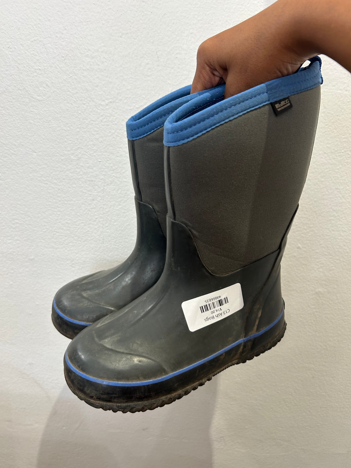 C13 Ash Bogs