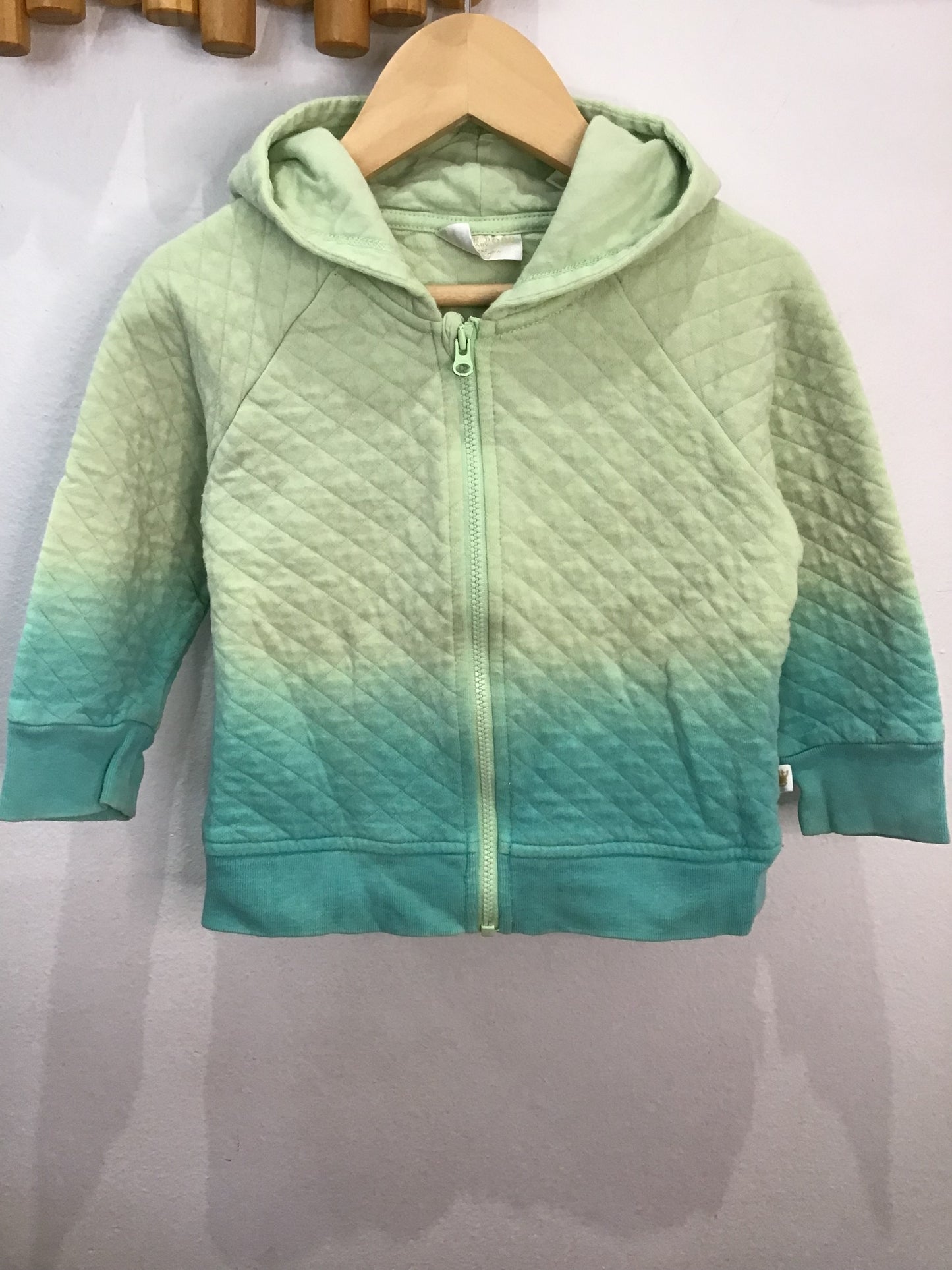 Sweatshirt green ombre 24m