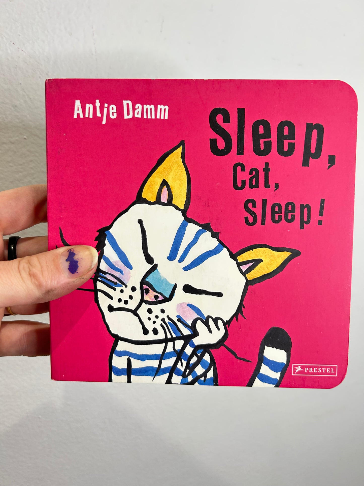 Sleep Cat Sleep