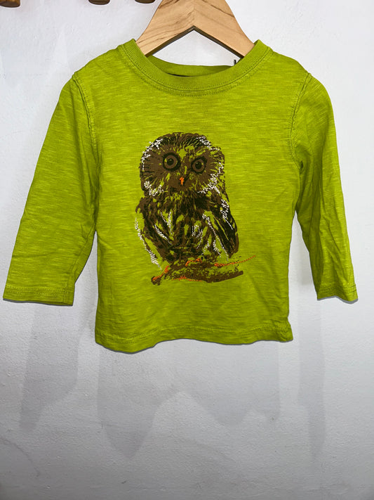 Owl longsleeve 18-24m