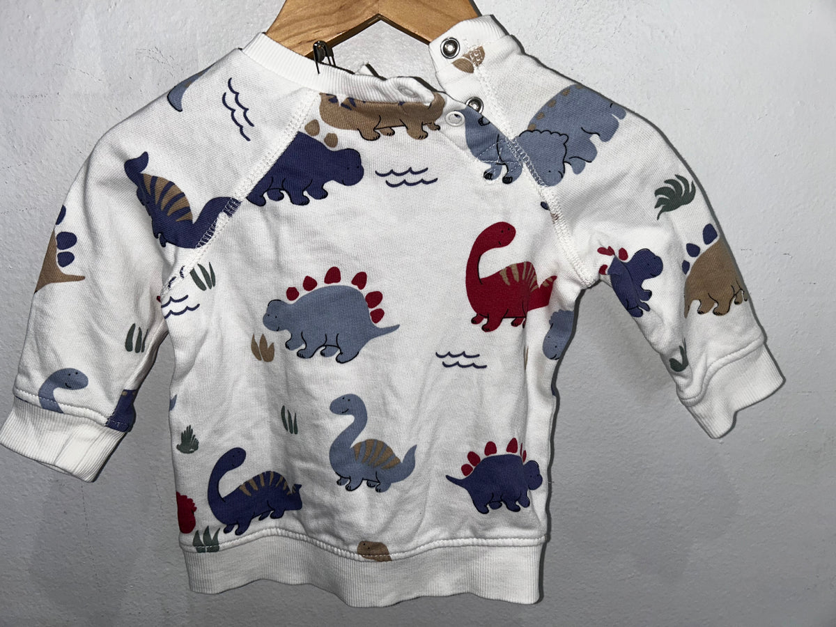 Baby dino pullover 4-6m