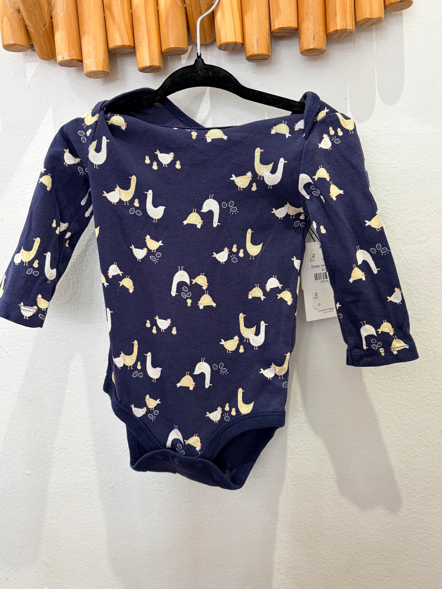 Ducks onesie 3-6m