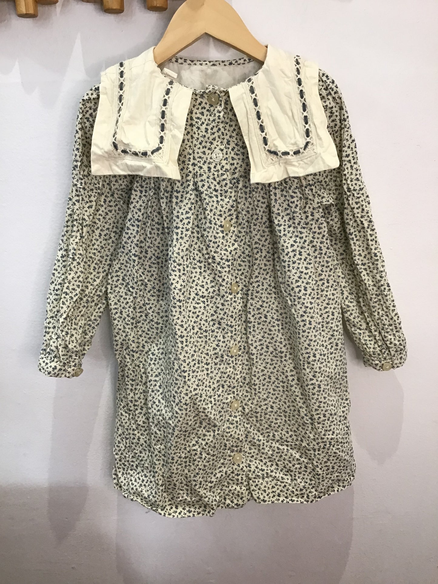 Little Cotton Clothes organic cotton dress 3-4y