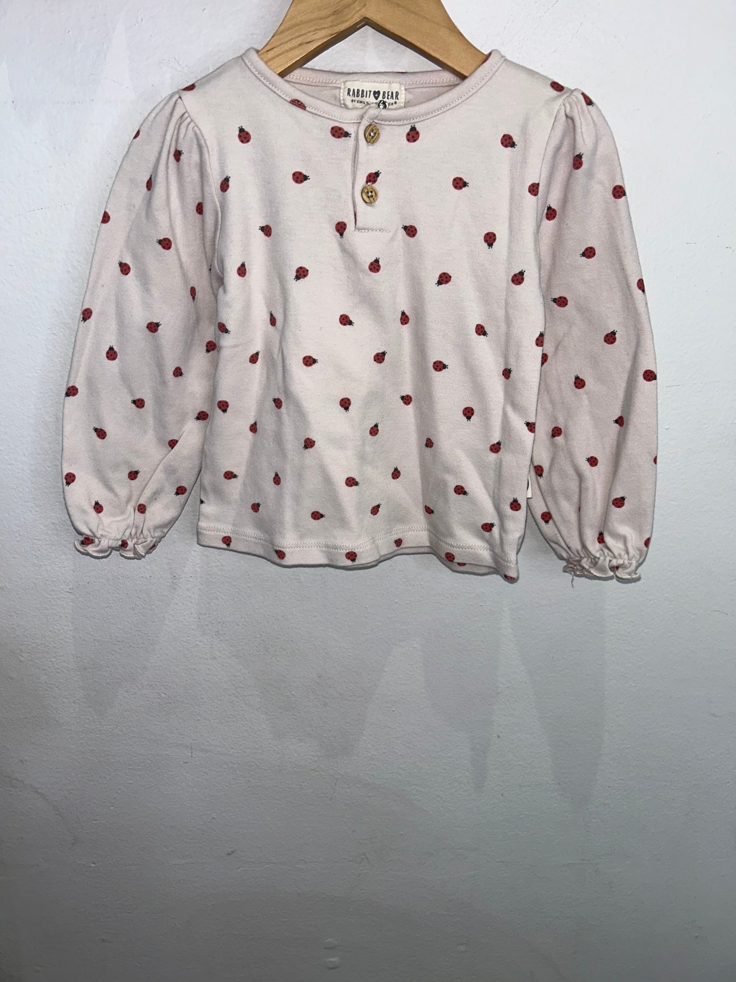 Ladybugs longsleeve 3y