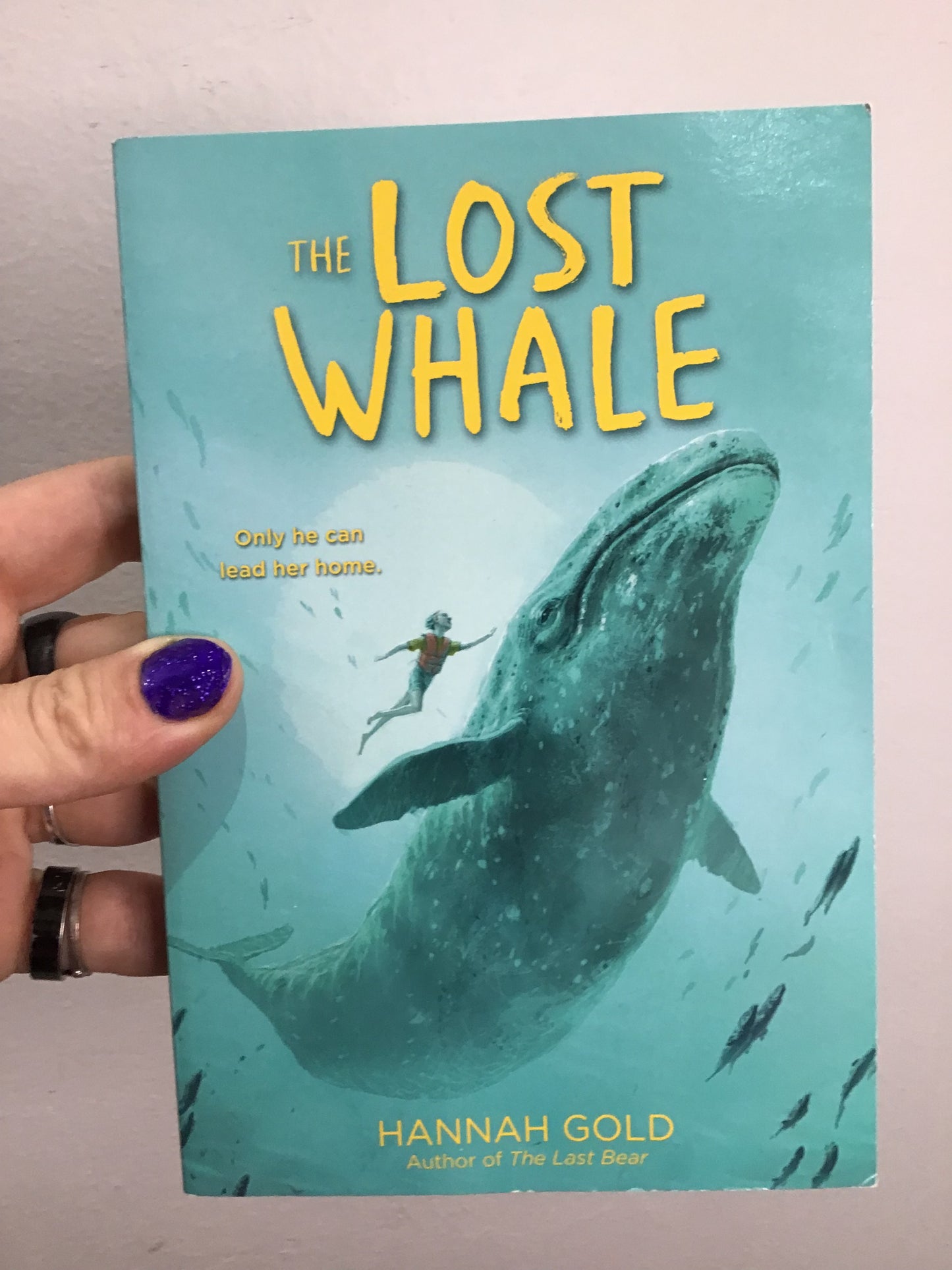 The Lost Whale by Hannah Gold