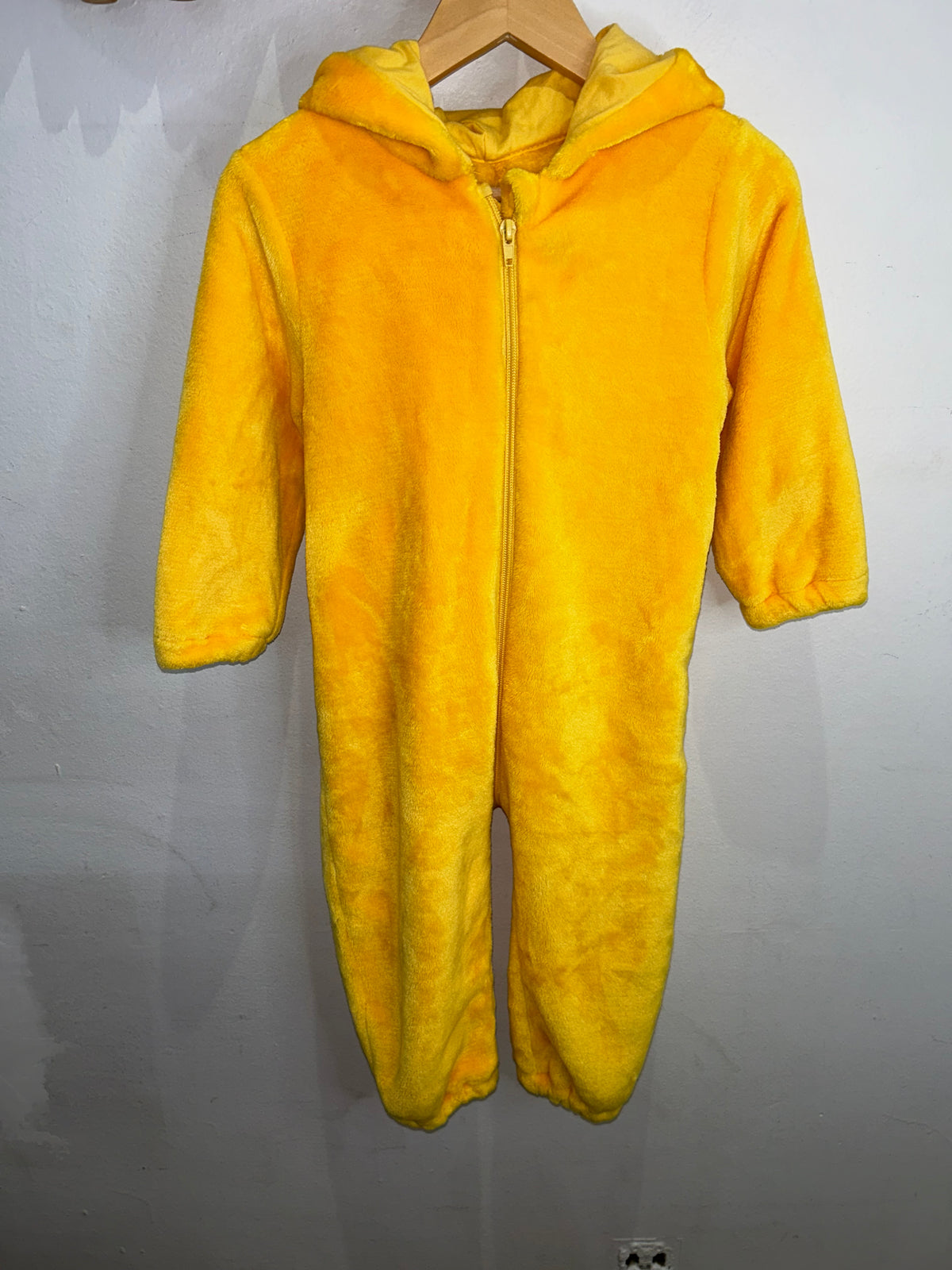 Duck costume 3y