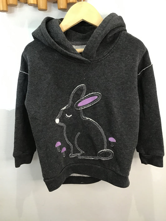 Hoodie purple bunny 3y