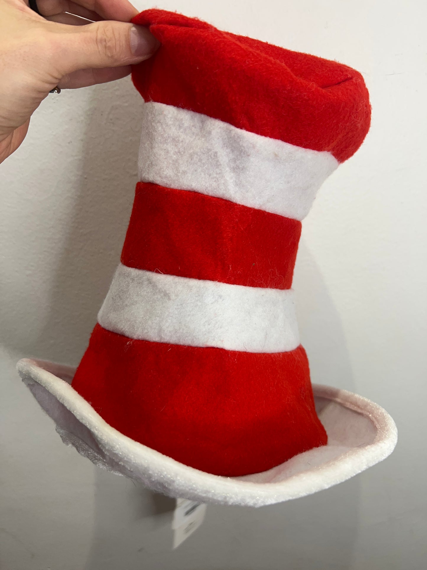 Cat in the hat hat