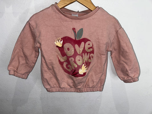 Love grows pullover 18m