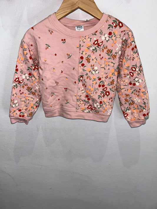 Garden fruits pullover 24m