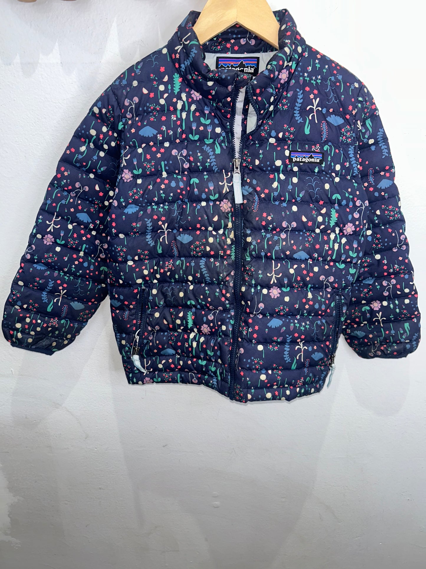 Patagonia down jacket plants 5y