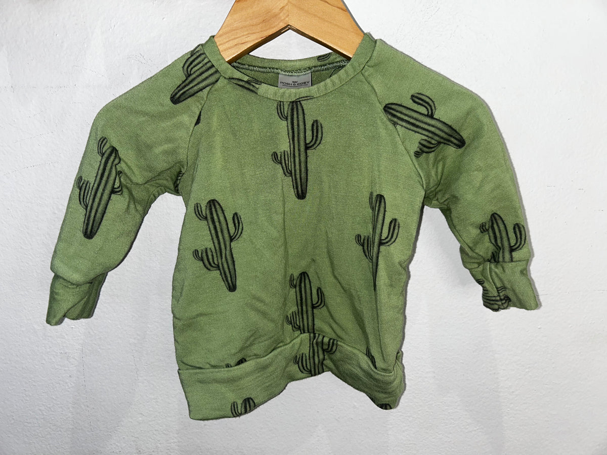 Posh and Cozy cactus pullover 0-6m