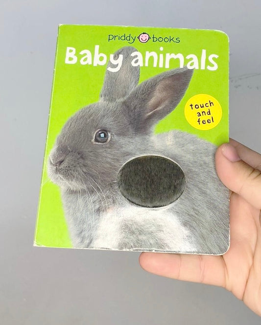 Baby animals touch and feel