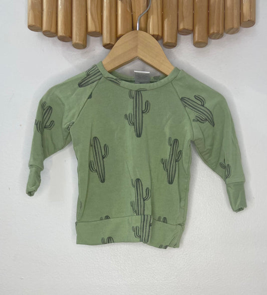 Posh and Cozy cactus pullover 0-6m