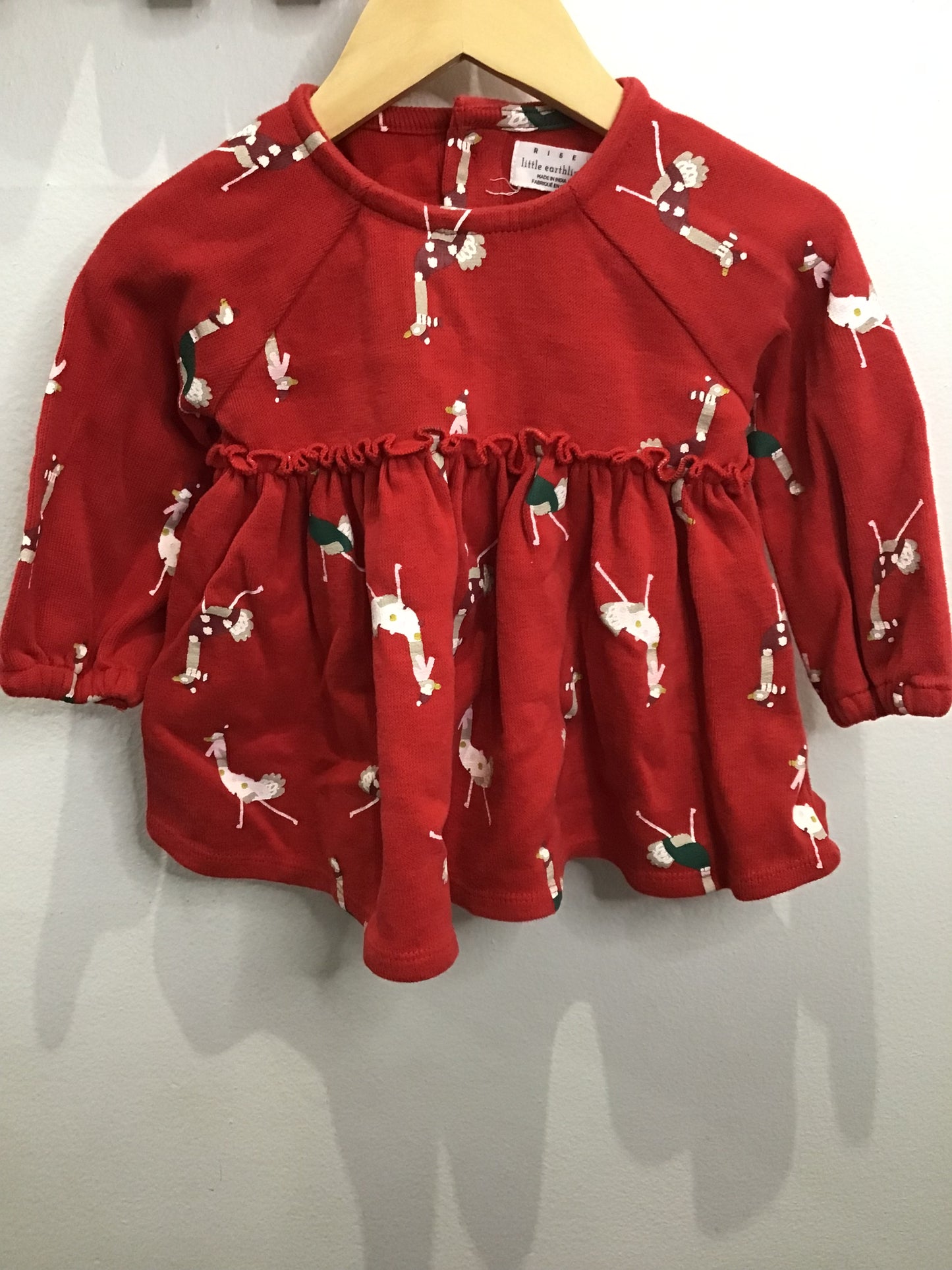 Silly geese pullover dress 3-6m