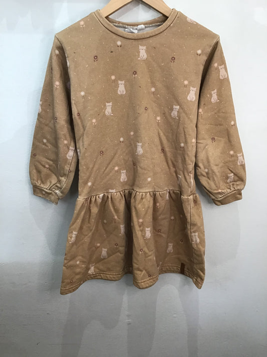 Dress brown cats 6y