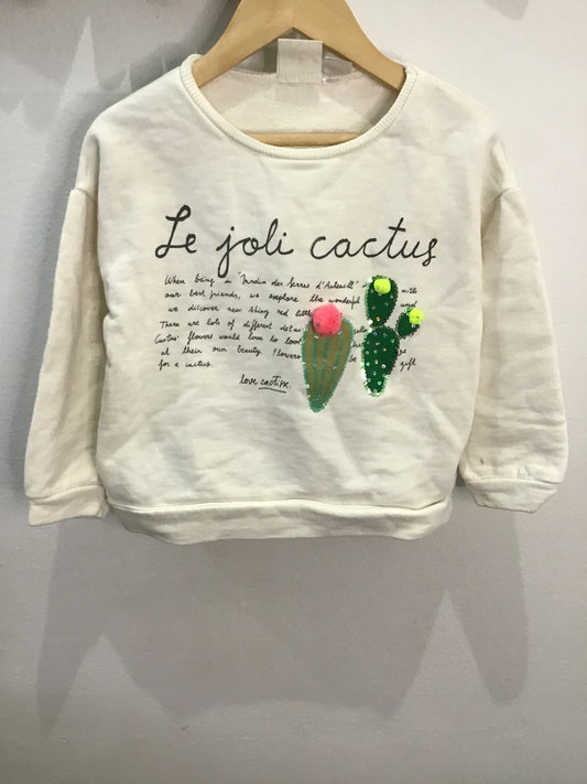 Pullover joli cactus 3-4y