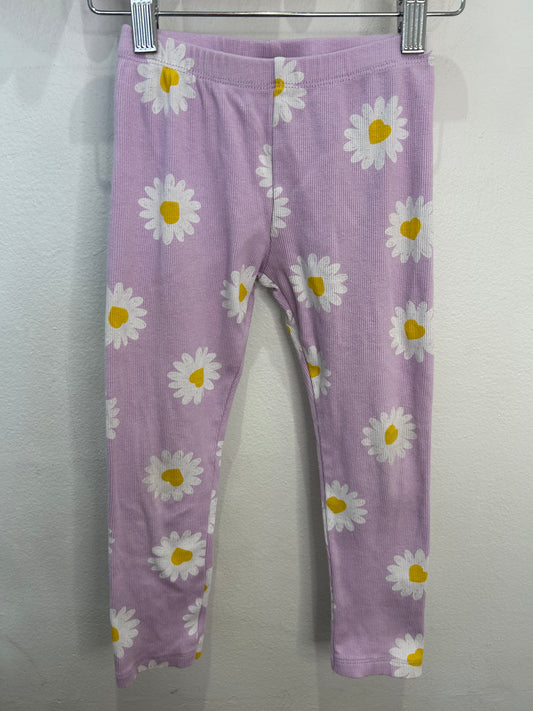 Lilac daisies ribbed pants 6y